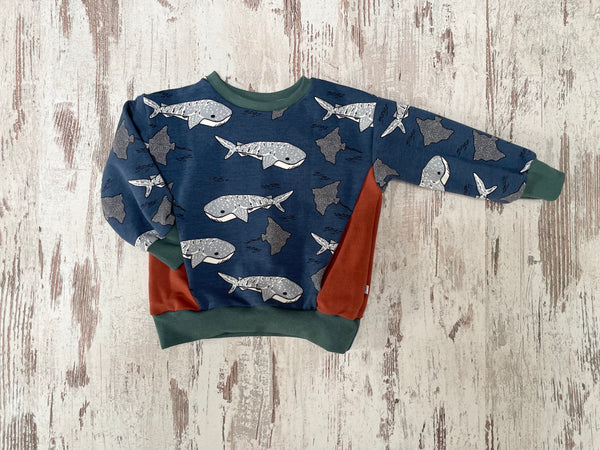 Sweater mit Tasche - Walhaie & Rochen Gr. 80-98